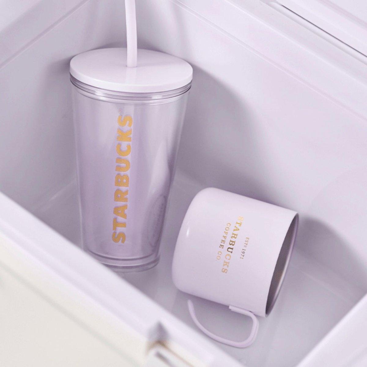 Starbucks Stanley Insulated Box with Plastic Straw Cup & Stainless Steep Cup - Ann Ann Starbucks